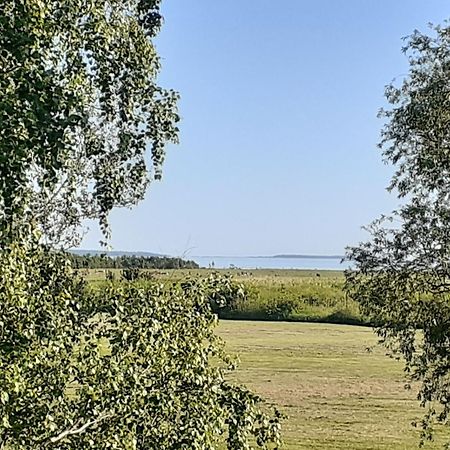 Tuule Villa Курессааре Екстер'єр фото
