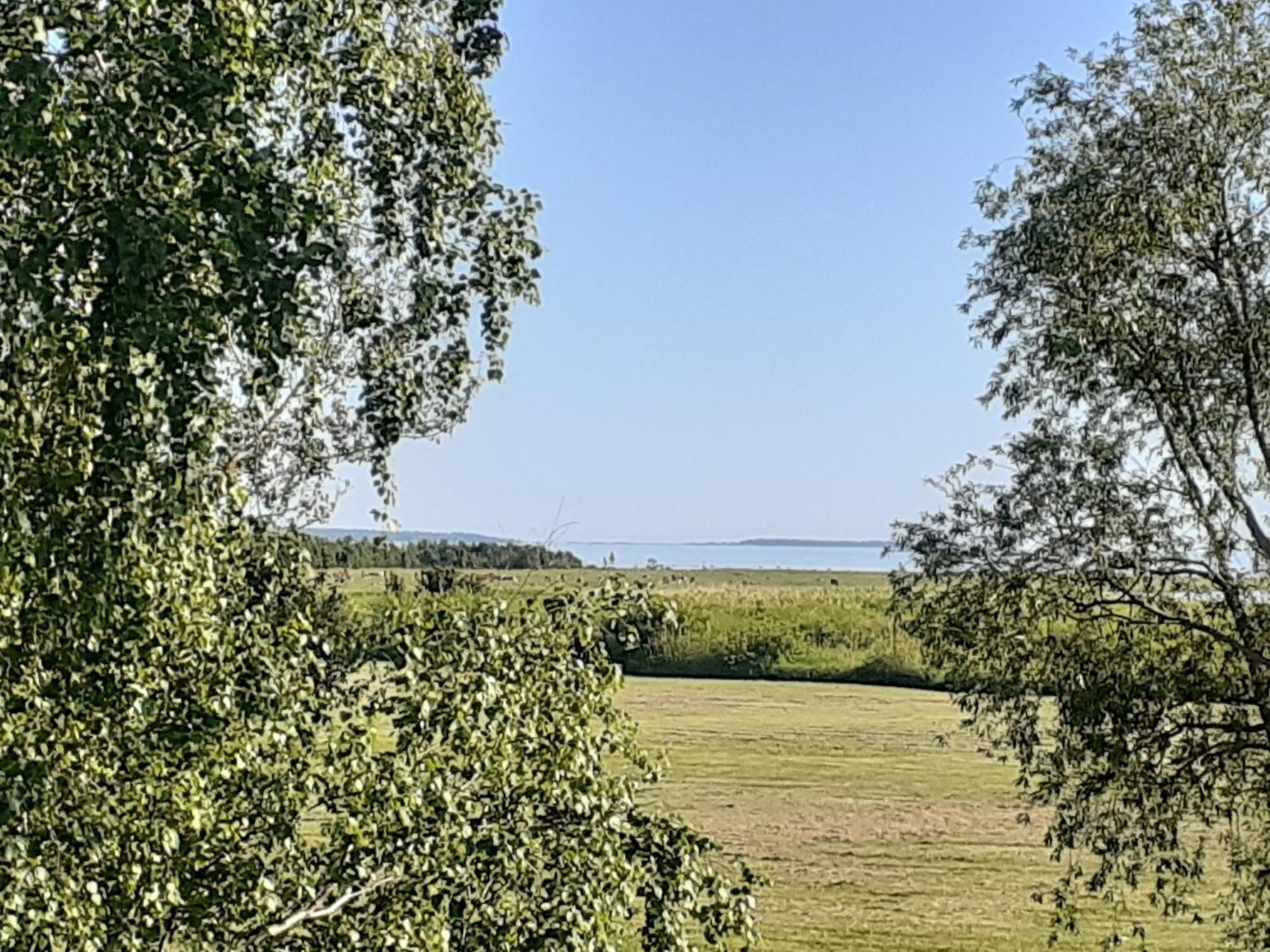 Tuule Villa Курессааре Екстер'єр фото