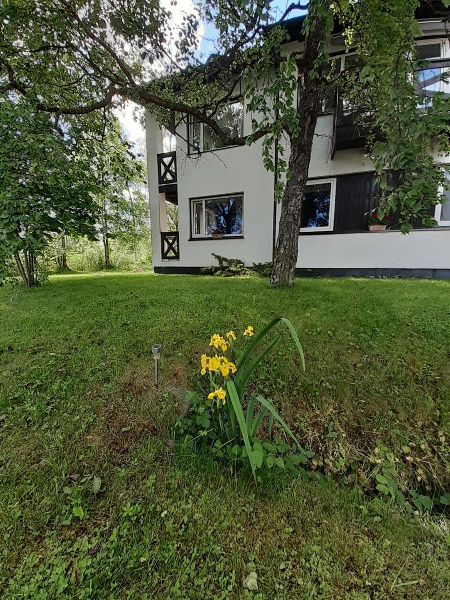 Tuule Villa Курессааре Екстер'єр фото